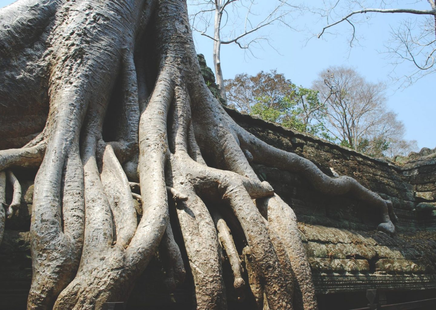A Little Angkor Wat Guide: All You Want to Know – There She Goes Again