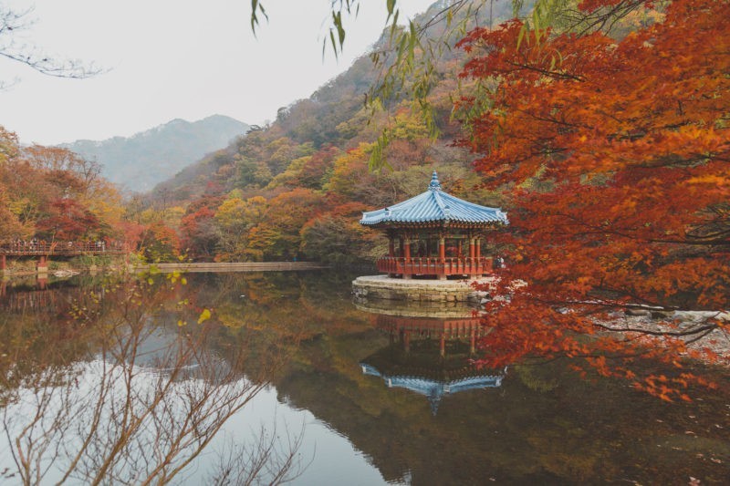 November 2017: Fall Foliage + Busy Weekends