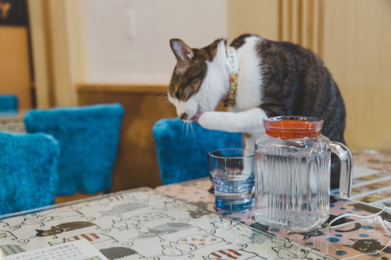 33 Beautiful Taiwan Photos to Make You Visit There She Goes Again