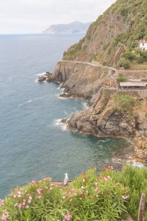 clfifside to the right with blue sea, can see the famous path that leads from Riomaggiore to Manarola